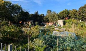 allotments